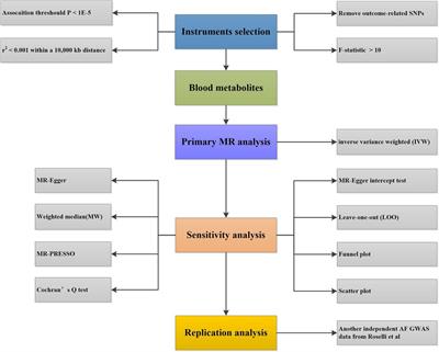 The causal effects of genetically determined human blood metabolites on the risk of atrial fibrillation